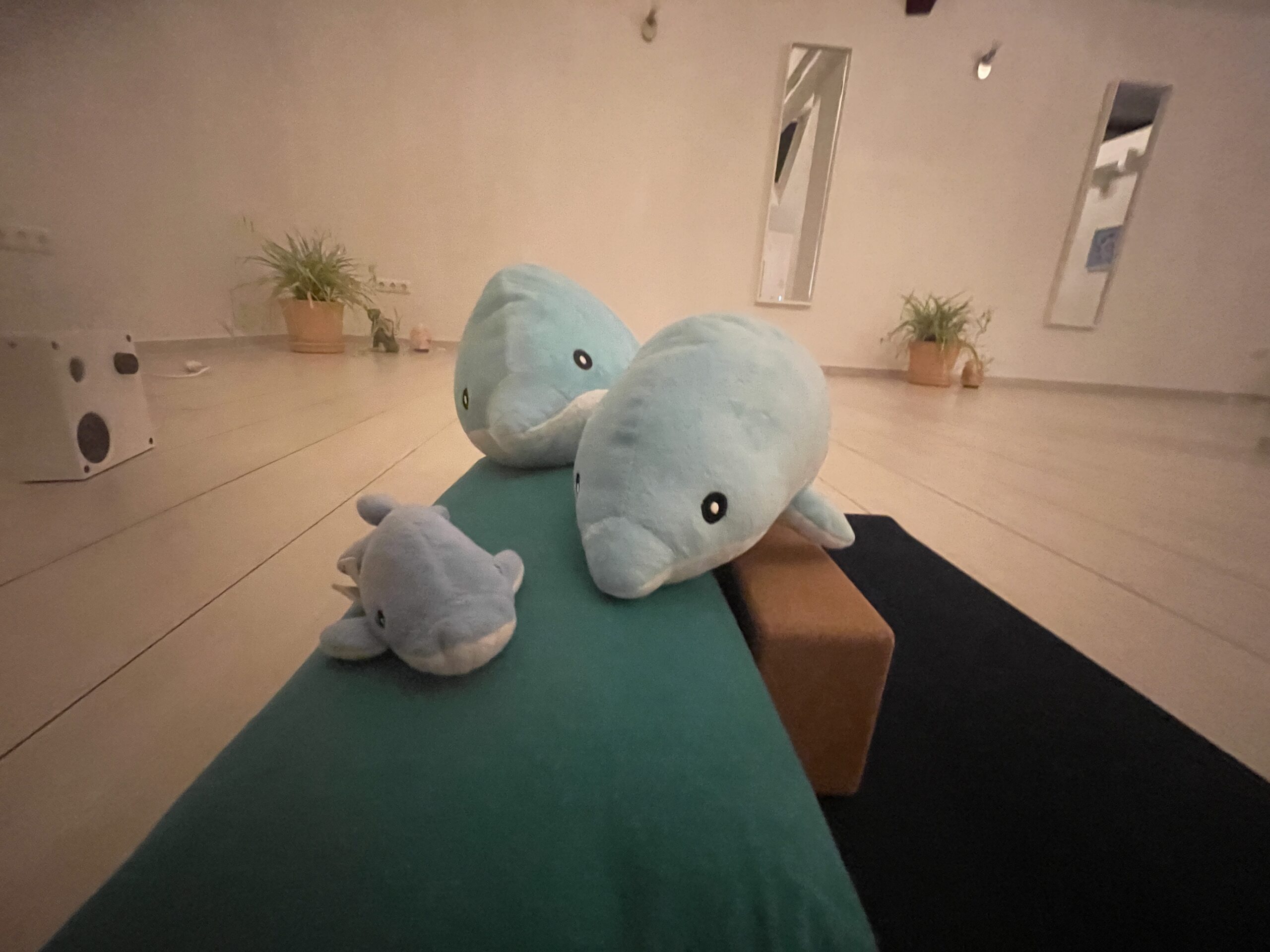 Bewegungsübung, passend zu den spielerischen Kinderyoga-Stunden